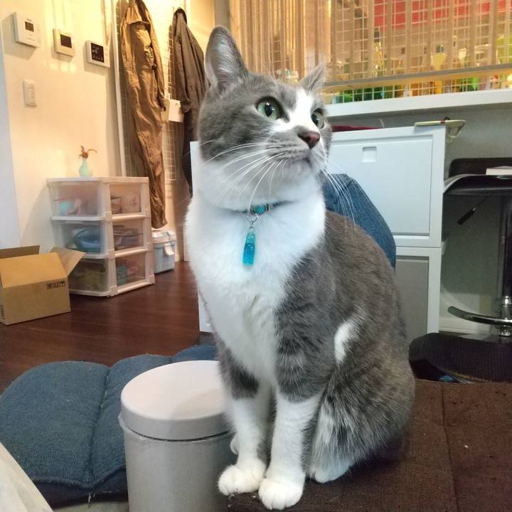 76c20d67 596f 4670 8c95 1dd6ce0c2a63 1640213527772