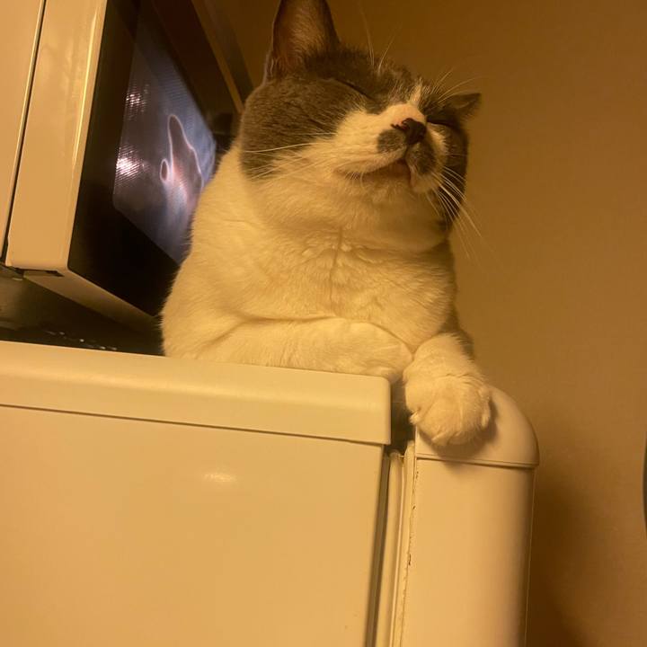 76c230bc dbab 47ea 96e4 09a3f1cb70ea 1727868898101