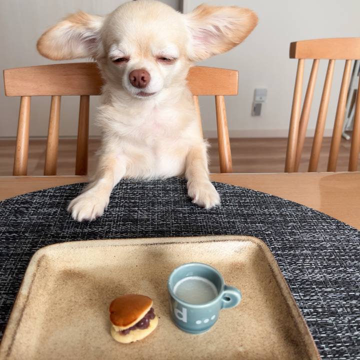 76c236d6 ac6b 4c86 a2c7 b0695155617e 1760348236133