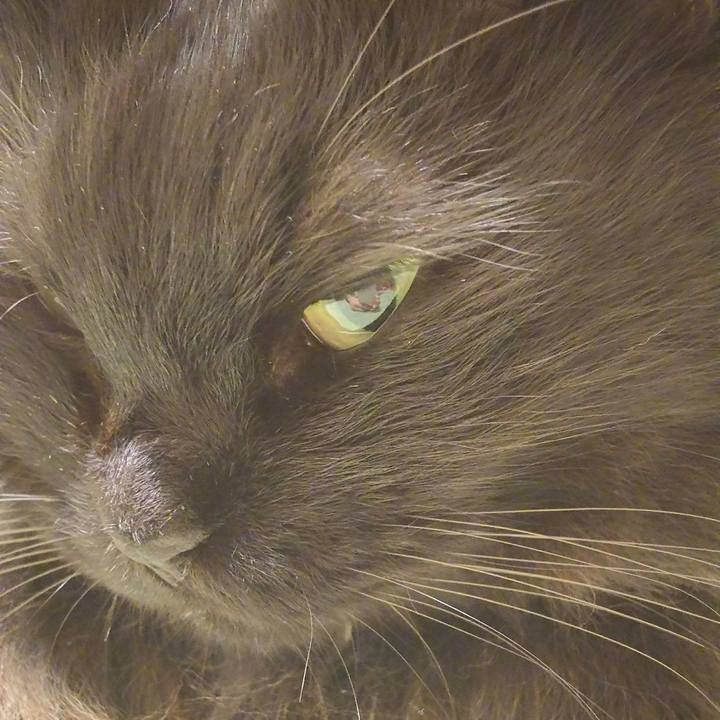 76c23db9 8629 40f0 b5ee da9cb7126d3b 1513340469579