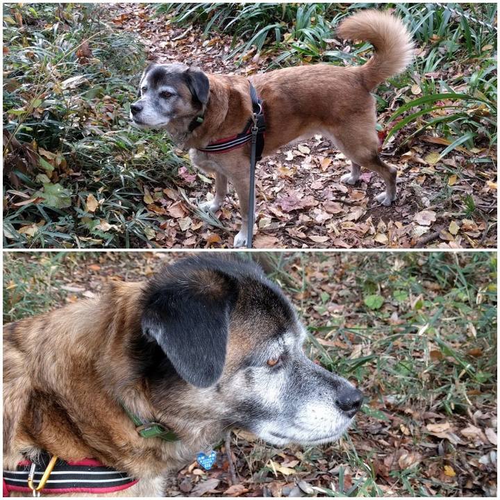 76c249ef 3c89 4e07 94dd 3490f67d26a3 1543795095579