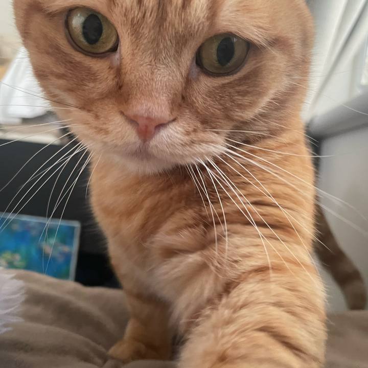 76c24dc7 5ec3 4b9e 8f74 e3a5053198f4 1764589786794