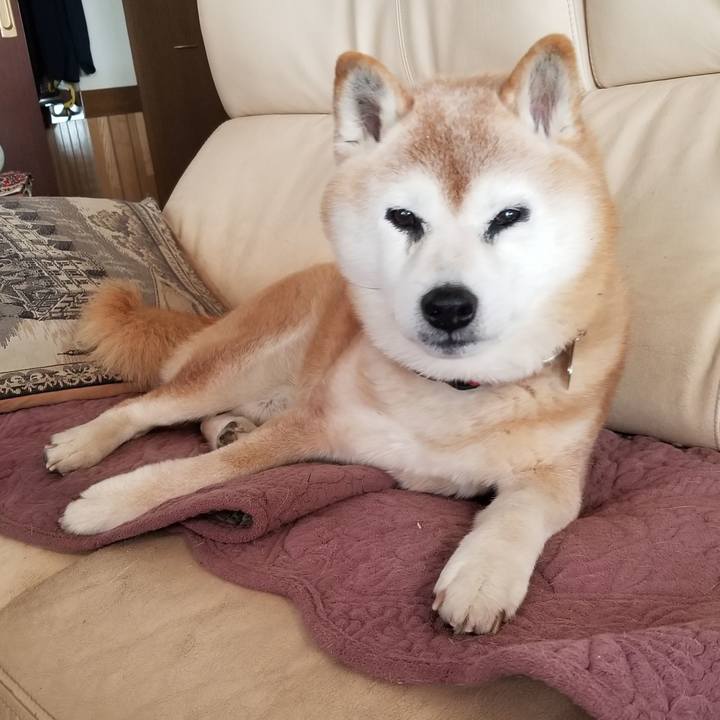 76c2e200 2ea1 4cd5 add7 593df3a73e8f 1741395231254