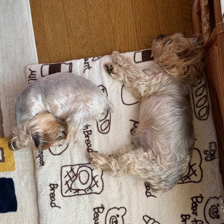 76c2fa82 adfa 4115 bb5f 8381e39fdf2a 1647943738901