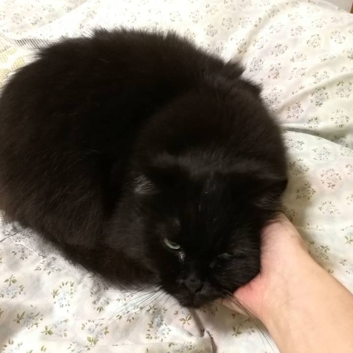 76c32c9b 68ce 4742 be2e 51f7f6997352 1522847882189