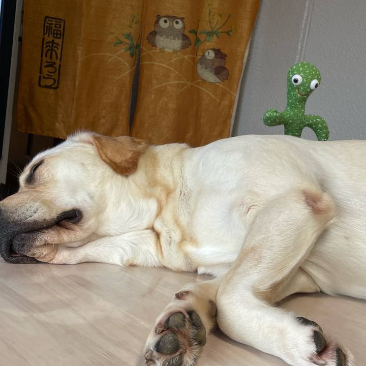 76c361c1 7a3f 45a7 ad4e 63441dcec53d 1663502444543