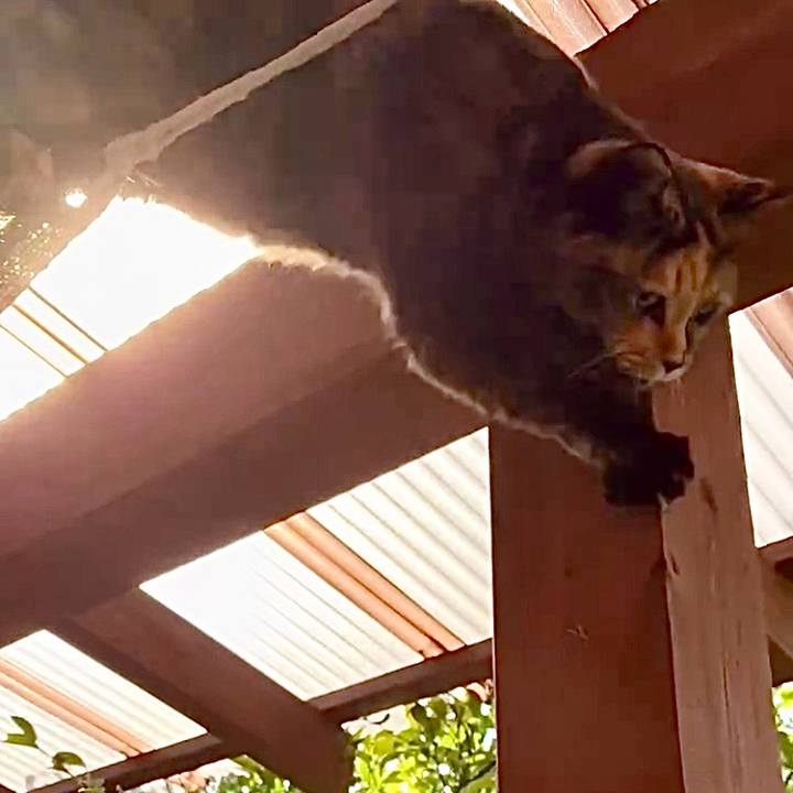 76c361c4 8ffc 4e23 b961 f307cf45a33b 1762762175601