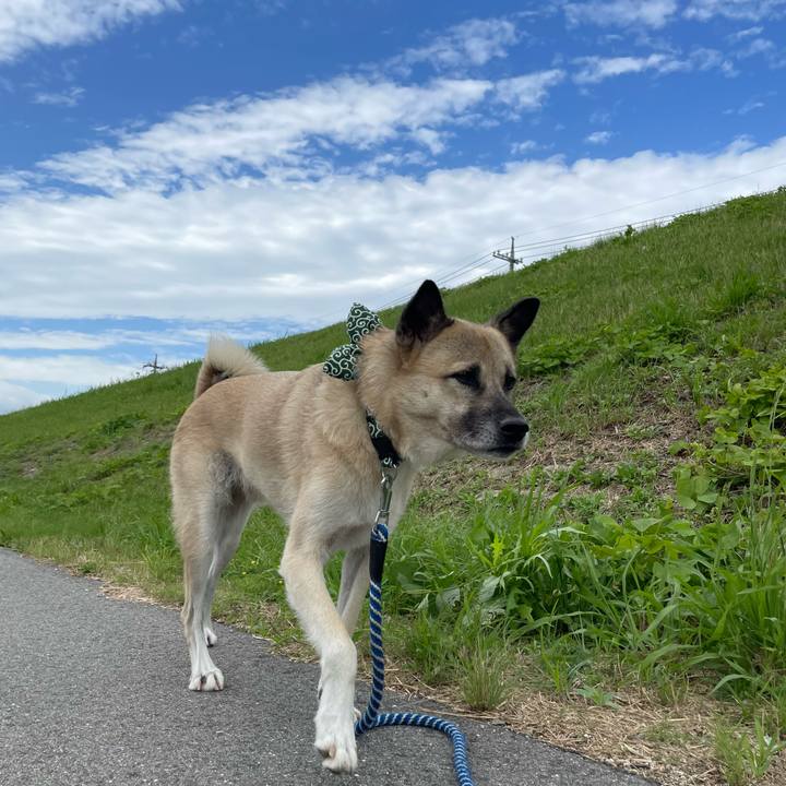 76c38234 9f4a 4f11 85dd a953f1dcce17 1665402843708