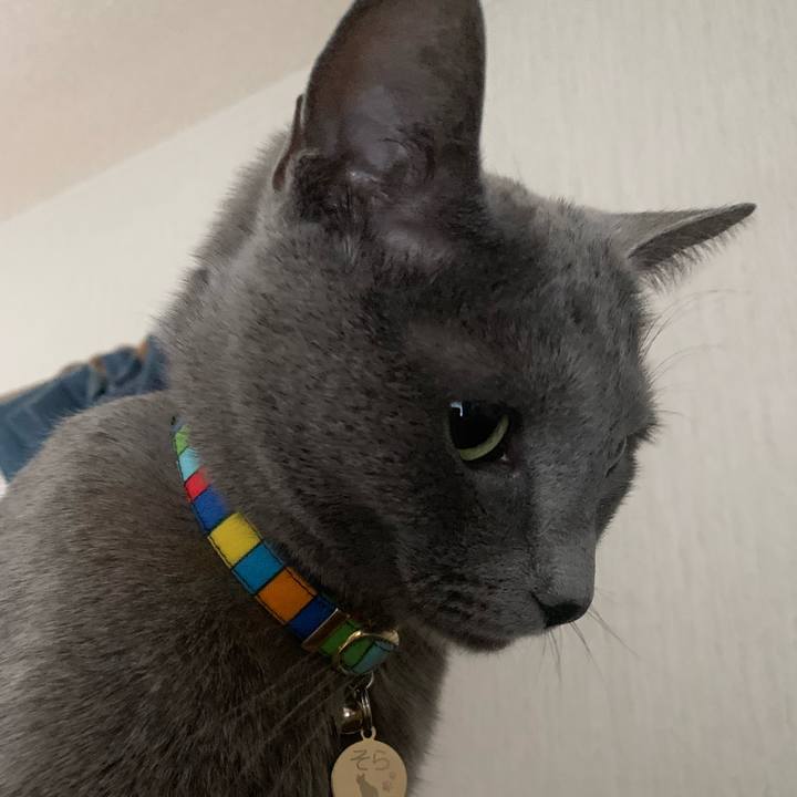 76c3916b 4574 4eb3 b82c 1d3b611d041b 1677626159074