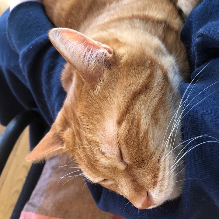 76c39d29 4872 4e82 91f4 789f170bdf35 1712970773555