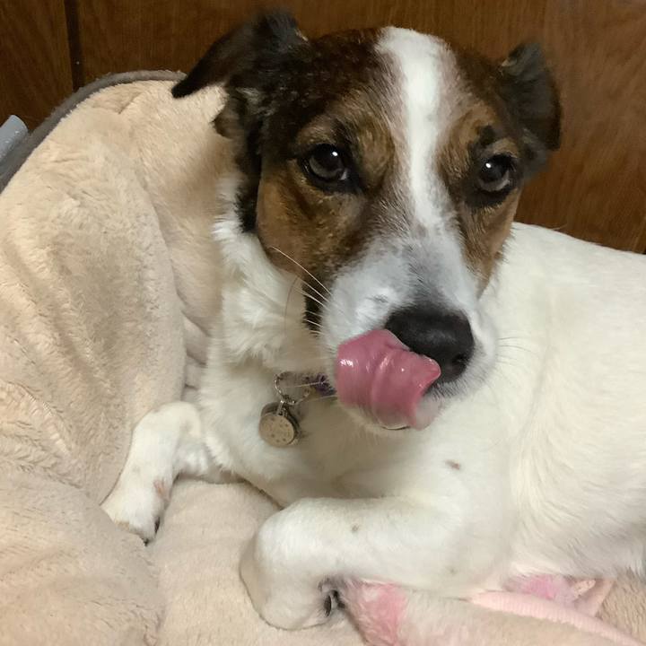 76c3ad4f fbe2 4ab7 9b87 9989828bab30 1587263774711