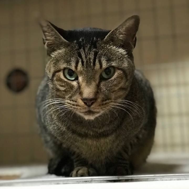 76c3d109 efbf 4e66 b297 c746694d2071 1515287008235