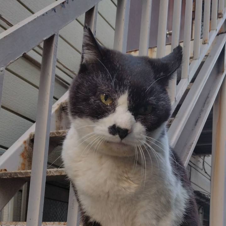 76c3de25 c3ac 4907 a796 93c97f004353 1710405298626