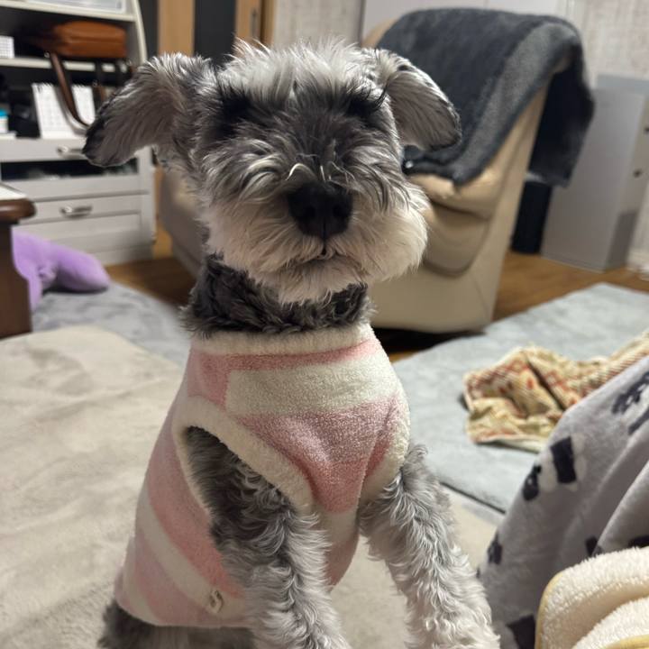 76c4123a 7242 4421 9b4f aa0801340eda 1769032470348