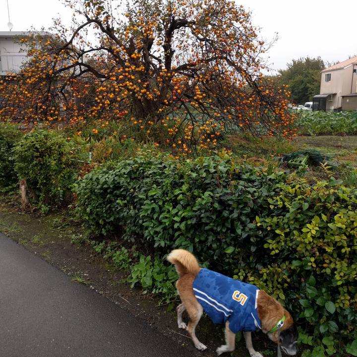 76c4339c ed68 43b5 8624 9d7af345b114 1539217621414