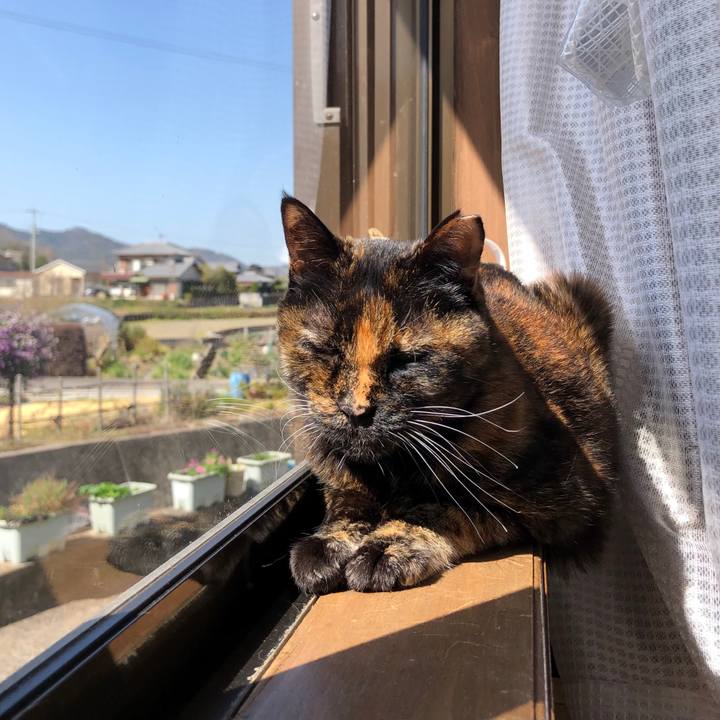 76c44db6 7a26 4555 8fb4 c15528057ad9 1678855106271