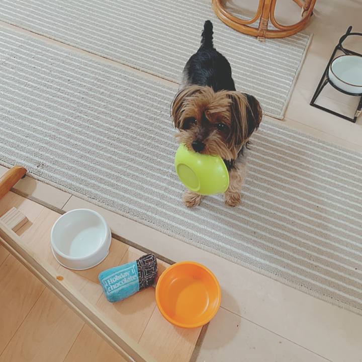 76c492fb 5636 487a 9670 070184b36072 1590464099443