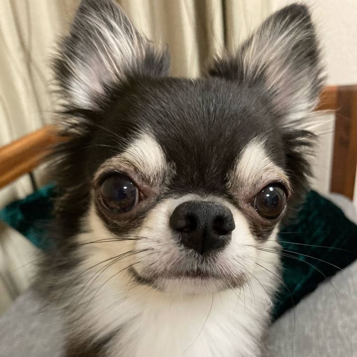 76c4e5a8 4d1b 4180 a6fc 1f56e71514d9 1632063493624