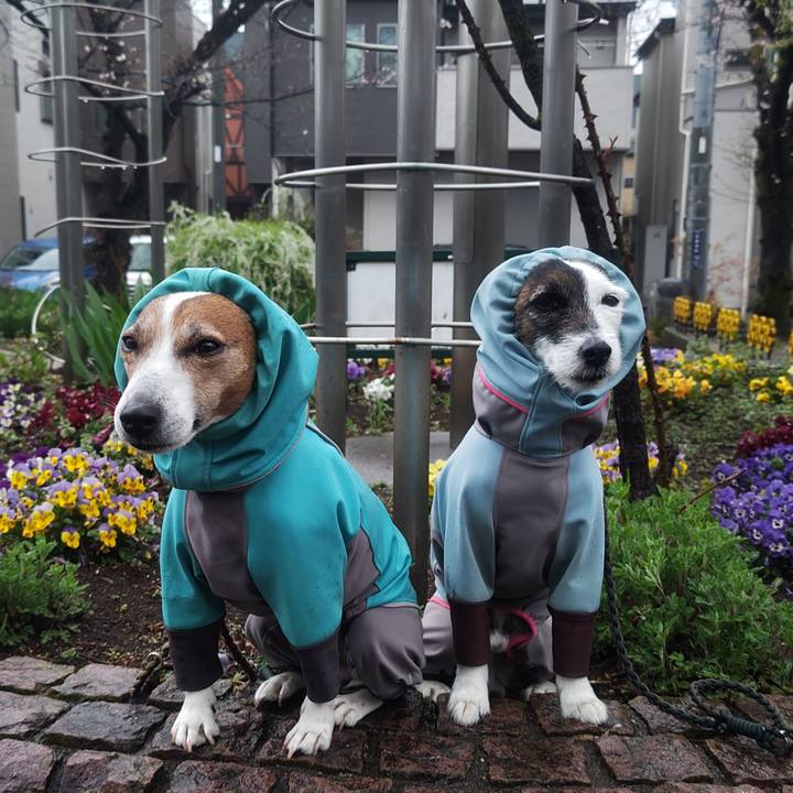 76c4ec51 1ee9 458c 9f17 b0701e5608fa 1774478091455