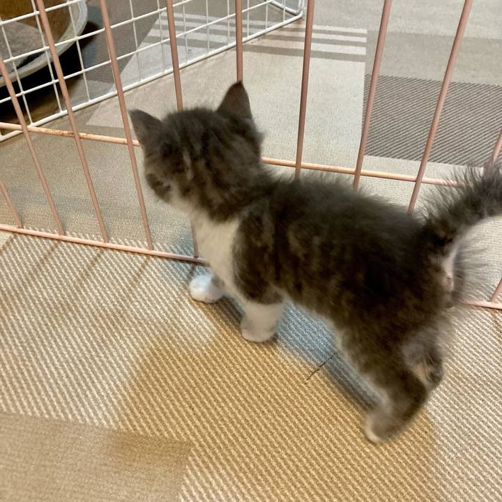 76c4f20d 5b75 45e9 acb6 6d7f7c3fa148 1690072148470