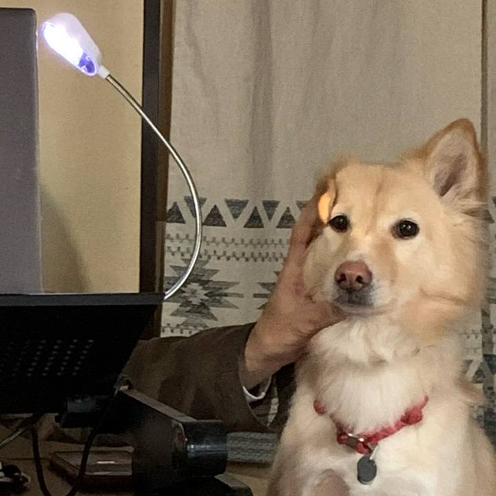 76c4ffed dfb7 4c08 a2c7 6fbc21a0db48 1642944788571