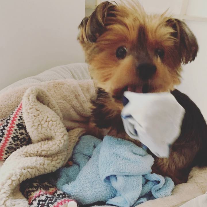 76c55161 cfab 406b b000 4e9530b28c6b 1621553181605