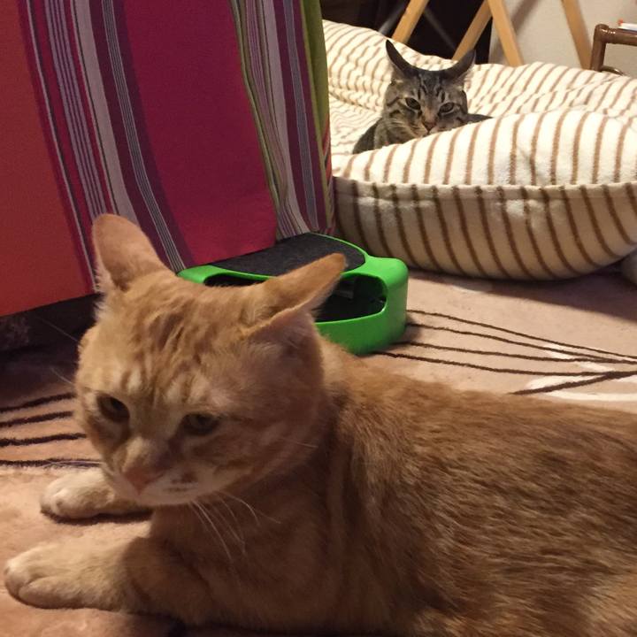 76c55d5d 8c51 491e 98df cab61a1f1258 1526198579914