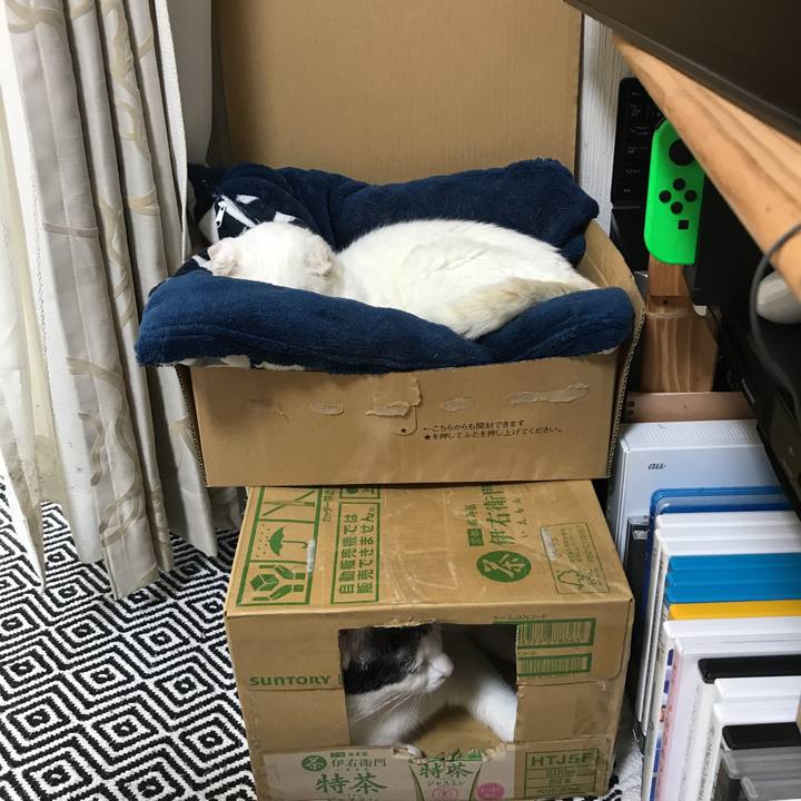 76c563c7 a204 4c7d 9c0c 288055947440 1539301895794