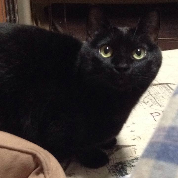 76c5817a 6a63 46ea 9a93 1b7bb122beef 1511528121625