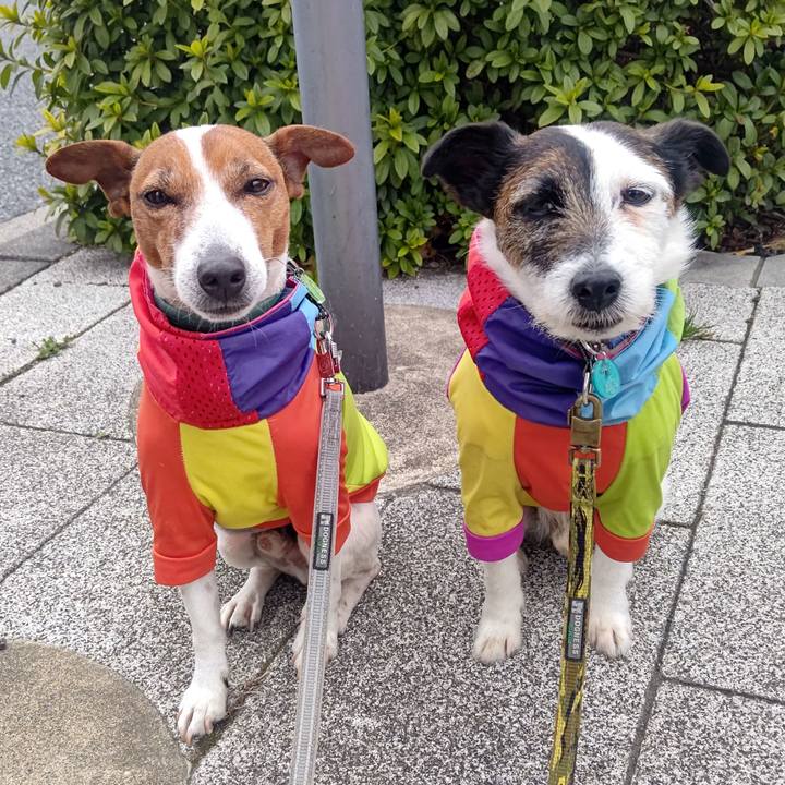 76c59fee 9dcf 47db aa29 c2288d8d322c 1710198642661