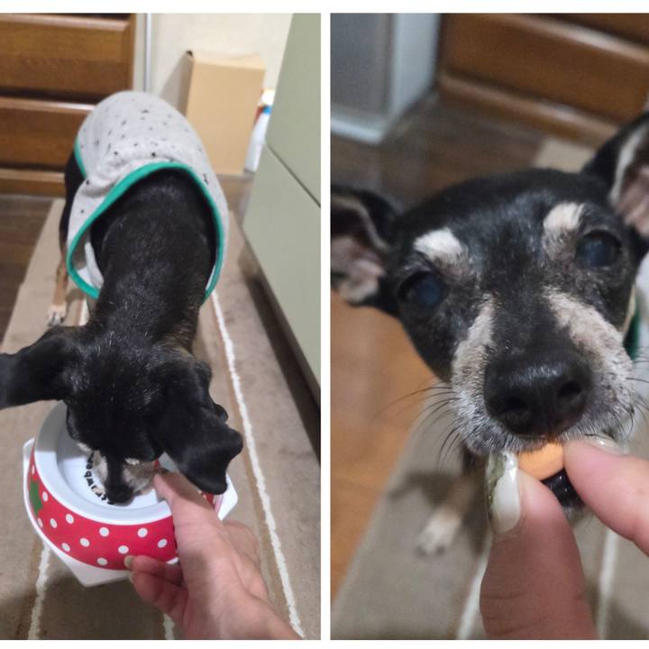 76c5c820 ddac 429b b43d a1ae46cd8969 1756928435500