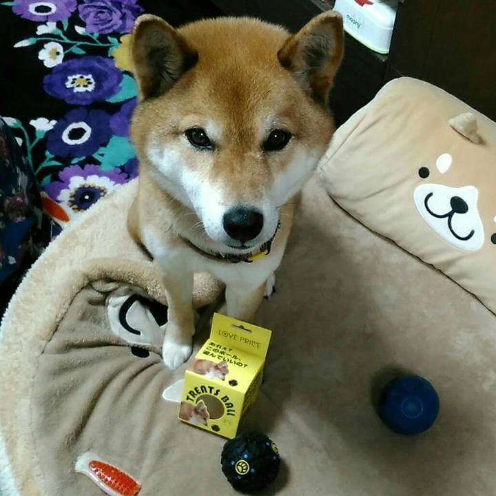 76c63299 6efe 4a72 92f6 37c55d0ae185 1558165094634