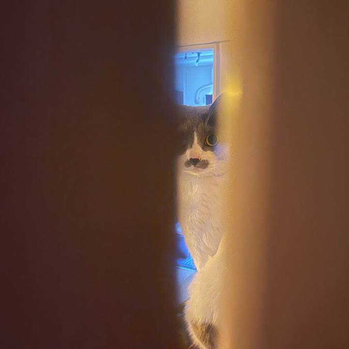 76c6c5c3 6e52 49a9 8d88 8b5887ab43ce 1745964639956