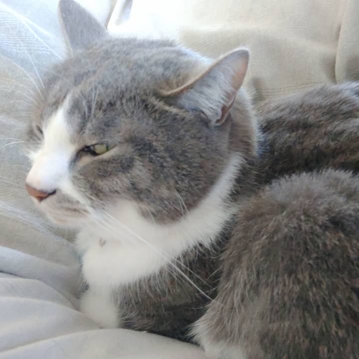 76c6e85f 940b 4479 8b03 84cada8c5c40 1679190288884