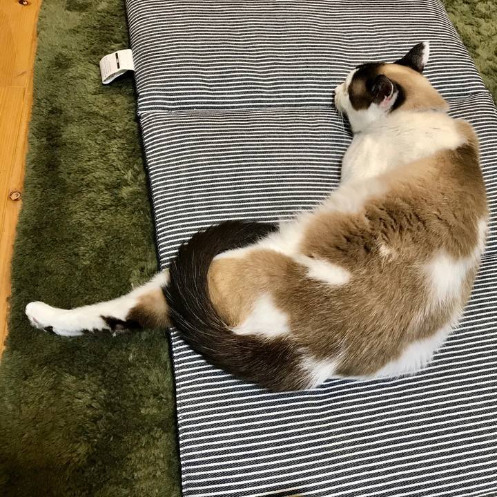 76c70d61 6f15 458c b45a 3189bf41ff3b 1594886457132