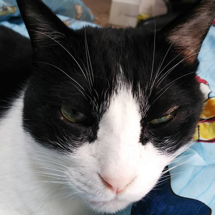 76c71437 d757 4edb a3e6 722b2cef6740 1582337995706