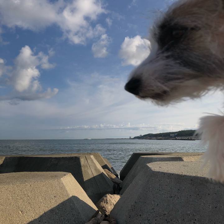 76c7175f 6f46 4822 bfb5 7e04c11ca0f4 1603842433658