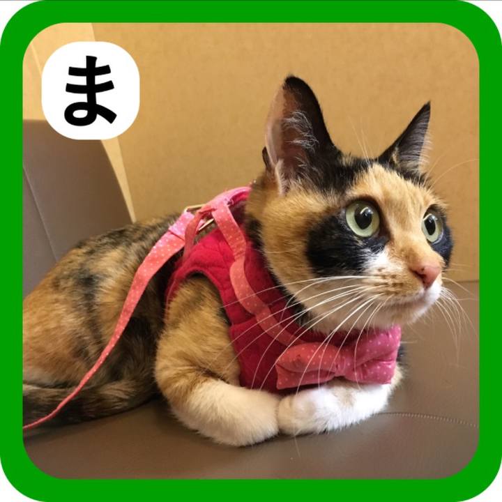 76c75f81 9b31 43e4 be55 82416fefc44f 1515039433283