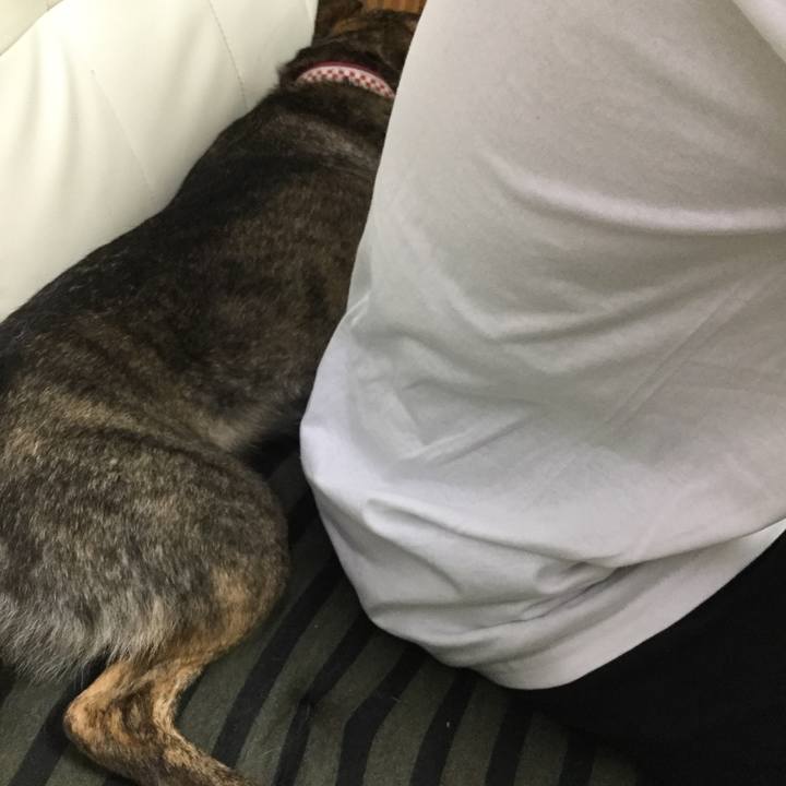 76c77675 2b6d 4dfa 8526 8524b5167ed7 1566124037722