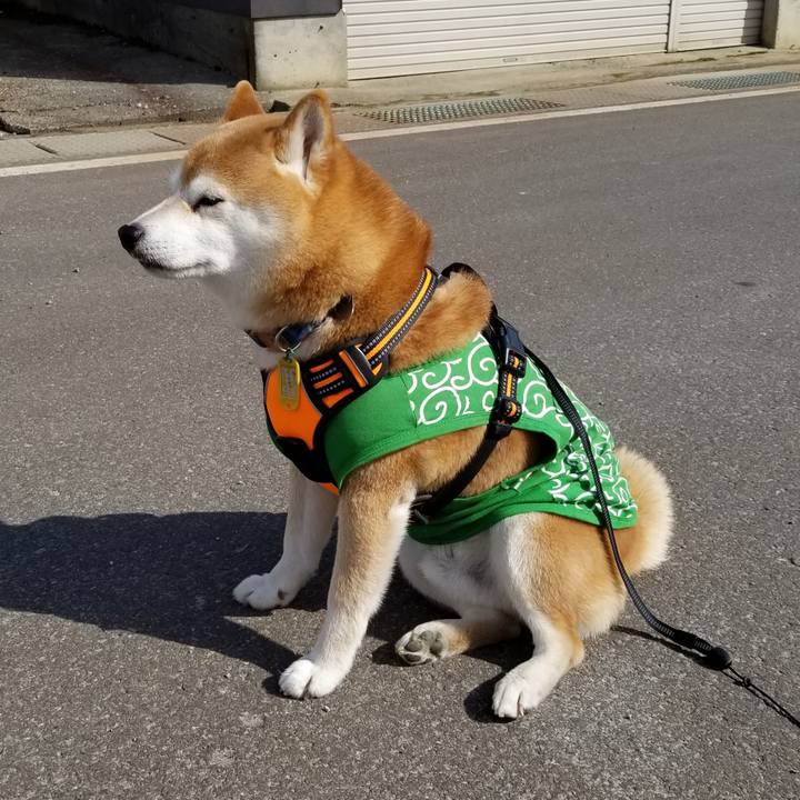 76c7a04d 5fa4 42db baef 2eb40ddbf483 1586067830475