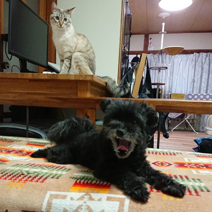 76c7a2b7 89e1 43e9 aaeb 3f6ee116d381 1598444015060