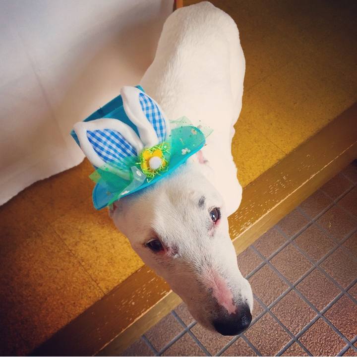 76c7c5ed 0b8b 47c9 a064 739479c0656b 1524722016348