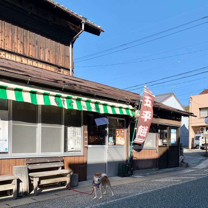 76c7e0dd 6b7a 4070 8b9d 1faa6936fc7e 1582793572549