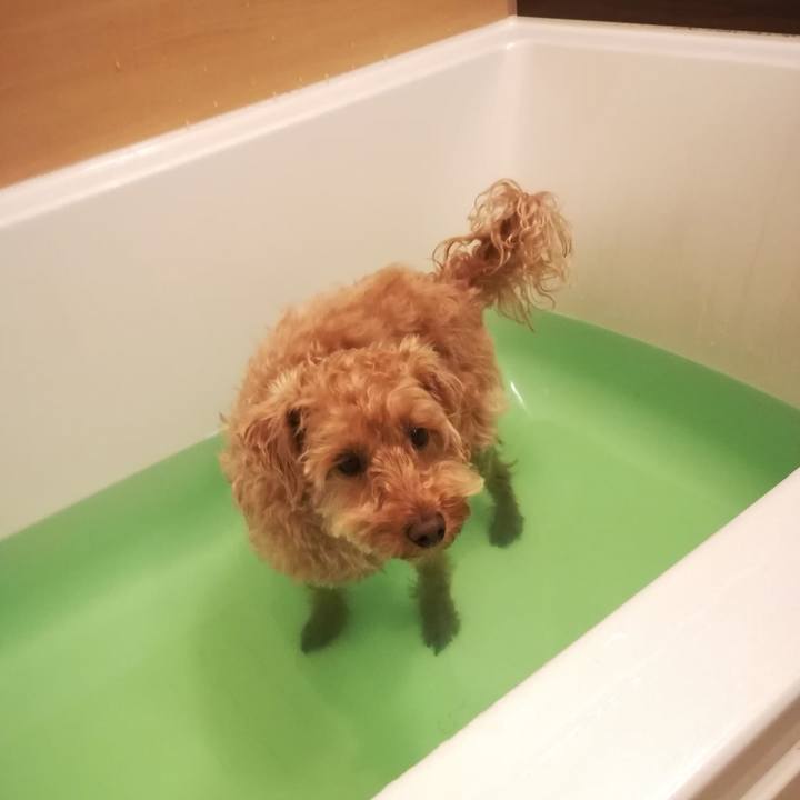 76c7e2b3 0ebf 4b0b 8699 9209bd6af87a 1555628114691