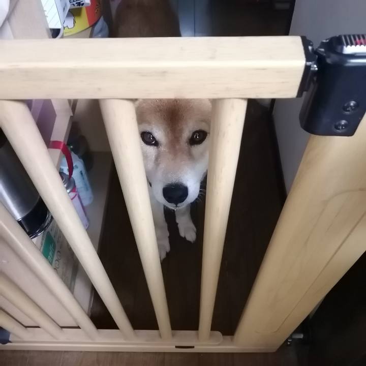 76c7e2d4 2027 4cf1 9de8 00d4e3fc986f 1590387148362