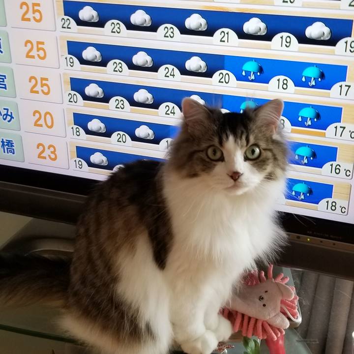 76c7ef02 94f0 4e0c a1b8 3b623dbbe2dd 1562803613950