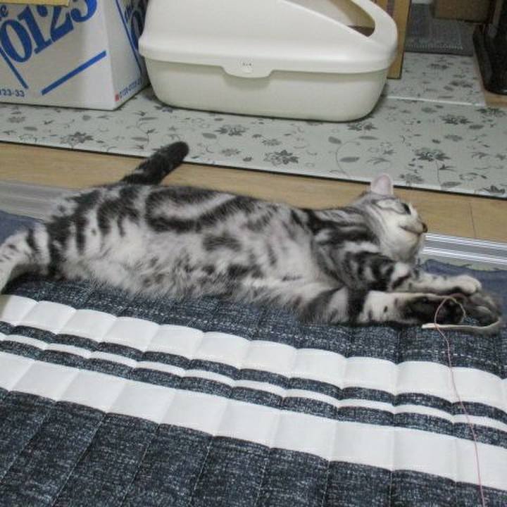 76c800ec 0bb9 46a1 9c72 876a48351468 1537772967615