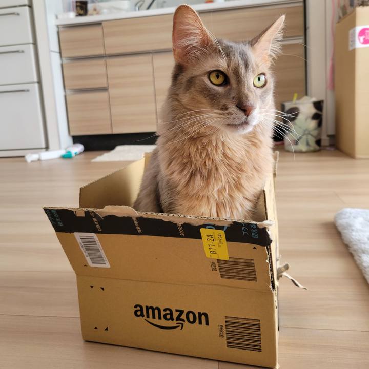 76c80310 8b21 4598 b5ee b88c5700e14a 1647432309841