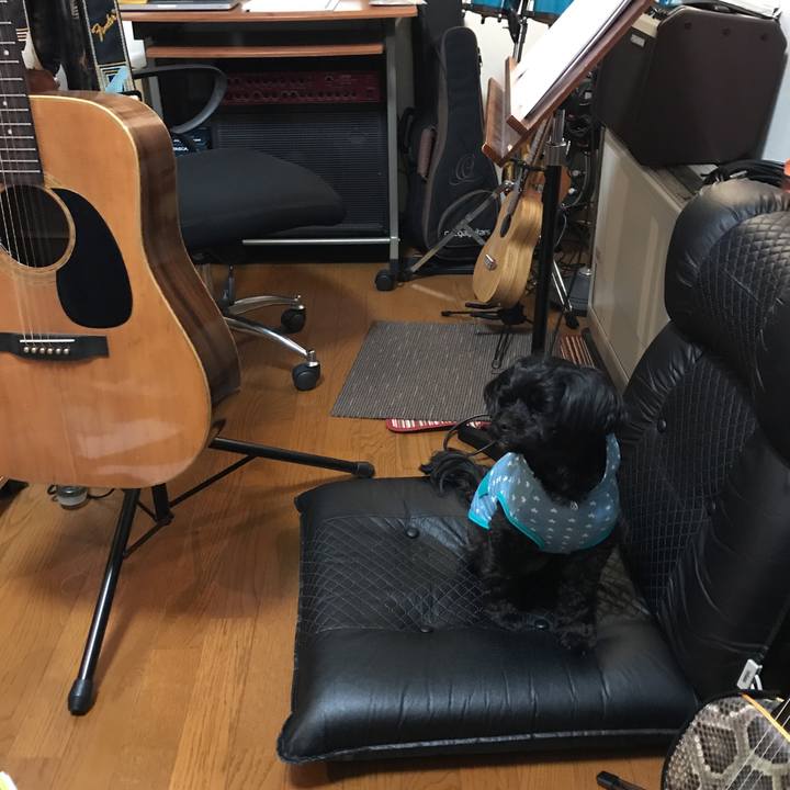 76c80412 8fc4 497c 8d19 d3a54c86b8ee 1524749457062