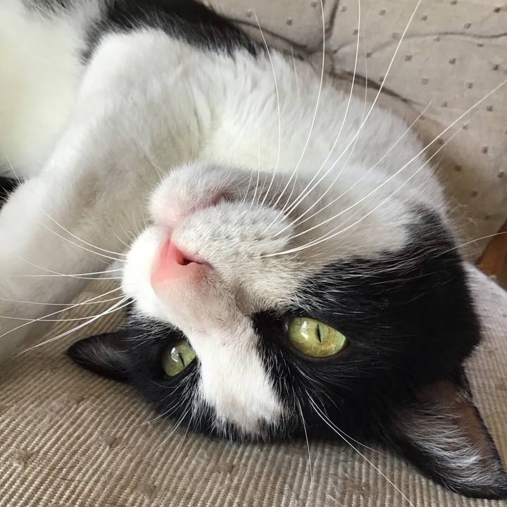 76c81cbb f5c1 4613 ba12 8a5da0086c74 1755769315253